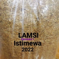 Lamsi Istimewa kemloko (HalusManis)