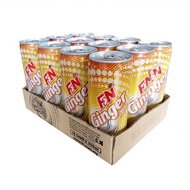 Schweppes dry ginger ale (12 x 320ml) carton