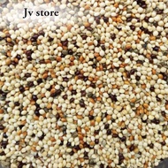 (1Gunny) Mix Millet Bird Feed Food 20kg