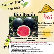 Benih Tembikai Tanpa Biji 10pcs kulit hitam Seedless Watermelon 无籽西瓜种子水果蔬菜种子 biji benih tembikai tan