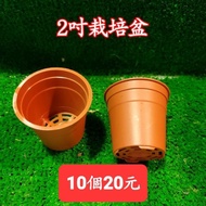 [Hongyi Gardening] 2 inch Cultivation Red Pot 10 Pieces 20 Yuan (Order 1 = 10 Pieces 20 Yuan)