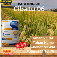 BENIH CIBATU 06 KEMASAN 5KG