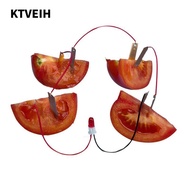 KTVEIH Fruit Battery Science Experiment Kit, Bio Energy Potato Powered Electricity Experiments Scien