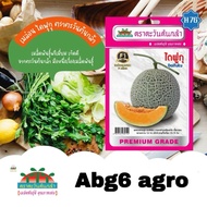 10Biji Benih Melon Daifuku F1 Hybrid / Melon Manis Berjaring / Cantaloupe Daifuku Seed / Cap Advance