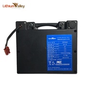 M-8/ Factory direct sales 32135Lithium Iron Phosphate Battery Pack 24V40AHElectric Wheelchair Rechargeable Battery P8HW