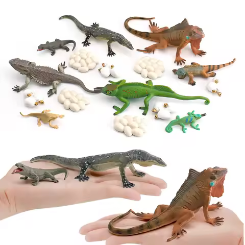 Simulation Chameleon Bearded Dragon Monitor Lizard Iguana Life Growth Cycle Reptile Animal Model Fig