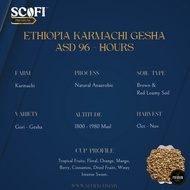 🌿0.5 KG Raw Arabica Coffee Beans: Ethiopia ASD 96-Hours Karmachi Gesha (Unroasted) - Premium Grade🌿