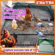 CHICKEN/BIRD TRAP 50x60cm/80x90cm lastik burung murah - Flat Terrain Trapping Hunting Quail Cage Sparrow