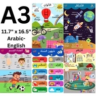 LisanulArab+Poster+A3+numbers+colours+body+shapes+months