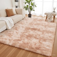 YOBATH Large 6x9 Area Rugs for Living Room Bedroom, Fluffy Fuzzy Shaggy Carpet Shag Rugs for Girls B