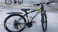 galaxy 26寸 單車 爬山單車 Mountain Bike MTB Trinx