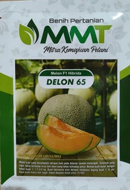 Benih Melon F1 Hibrida DELON 65