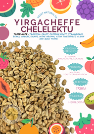 พร้อมส่ง เมล็ดกาแฟดิบ Yirgacheffe chelelektu G1 Yeast Natural process/ เมล็ดกาแฟนอก/ เมล็ดกาแฟสารเอธิโอเบีย