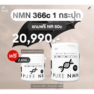 NMN 366 Capsules Do Not Age 1000 mg NMN Supplement