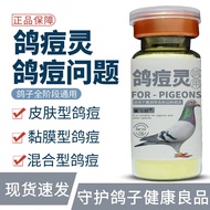 Pigeon Redemption Water Pigeon Acne Encyclopedia Meat Pigeon Believe Pigeon Racing Pigeon Ornamental