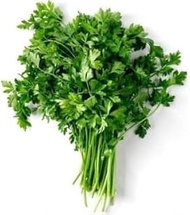 Fresh & Natural Mixed Seed Set – Arugula, Parsley, Cress, and Dill Seeds | Easy Germination | Suitab