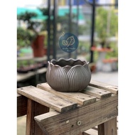 💚GFS💚【莲花】紫砂花盆 [Purple Sand Pot] (READY STOCK现货)
