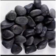 5 kg black coral stone wet looks / garden decorative stone black coral stone