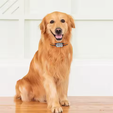 4G Dog Tracking Collar Locator With Google Map Real Time Tracking For Pets GPS Locator