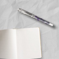 PLATINUM 白金牌 Preppy 和 近代蒔繪 0.3mm鋼筆 牽牛花  牛皮筆(