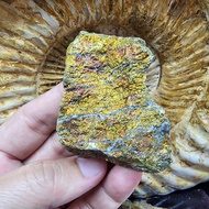 บอร์ไนต์ (Bornite)แร่จ้าวน้ำเงิน แร่เจ้าน้ำเงิน ยาว 6.4 ซม.หน้ากว้าง 4.9 ซม.หนา 1.4 ซม.น้ำหนัก 69.4 
