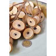 MKT - Grafted Dimocarpus longan sapling / Anak Pokok Longan Lada Hitam Kahwin / longan biji kecil / 
