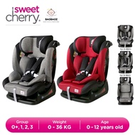 Sweet Cherry Convertible Infant Baby Car Seat Newborn to 12 years old AY913 Marwin Car Seat Group 0+