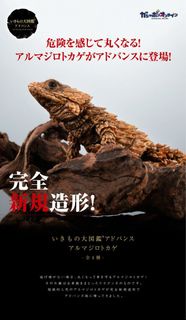 (共1款) Bandai 生物大圖鑑 Ultimate 犰狳蜥 黑色版 いきもの大図鑑アドバンス