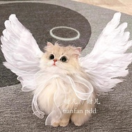 Angel Wings Cat Back Decoration Photo Props Muppet English Short Chest Back Decoration Small Medium-