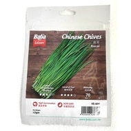BABA SMARTGROW SEEDS: VE-004 Chinese Chives韭菜