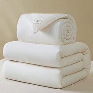Soybean Fiber Seasonal Duvet Quilt
