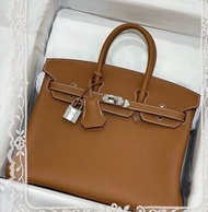 Hermes Birkin 25 Gold, Togo G (2026)