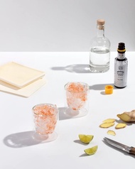 美國 W&P 製冰盒 | 碎冰款