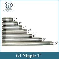 GI Nipple Pipe Fittings Nipples (1x2--1x12)