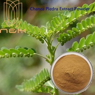 N&amp;M/ Chanca Piedra Extract Powder/ Stone Breaker/ Kidney Cleanse, Gallbladder, Liver Support/ Regulate uric acid/ Non-GMO, Gluten Free