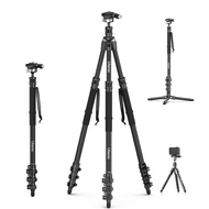 Ulanzi TT35 Hiking Stick Tripod Kit ขาตั้งกล้อง 5in1 คาร์บอนไฟเบอร์ รองรับระบบ Arca-Swiss และ F38