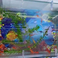 Transparent Acrylic Aquarium Plate Anti-collision Plate Organic Glass Fish Cylinder Head Fish Cylind