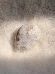 珊瑚玉 立體玻璃花紋水滴裸石 菊花石 菊花玉