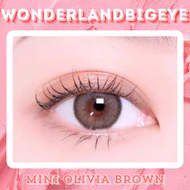 🔥คอนแทคเลนส์✨ขนาดมินิ✨Mini Olivia✨Brown / Light brown / Green / Gray / Black (kittykawaii)