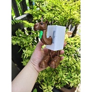 3d model - brainrot universe frigo camello character