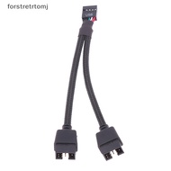 forstretrtomj 1Pc Computer Motherboard USB Extension Cable 9 Pin 1 Female To 2 Male Y Splitter Audio HD Extension Cable For PC DIY 15cm EN