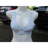 [TKPD14] WIREFREE MINIMIZER BRA VALENTINE SECRET SB08/0169 BLE SIZE 36A (A80) 36B (B80)