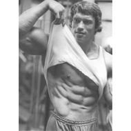 Arnold Schwarzenegger Inspiration Bodybuilding poster  inch   inch