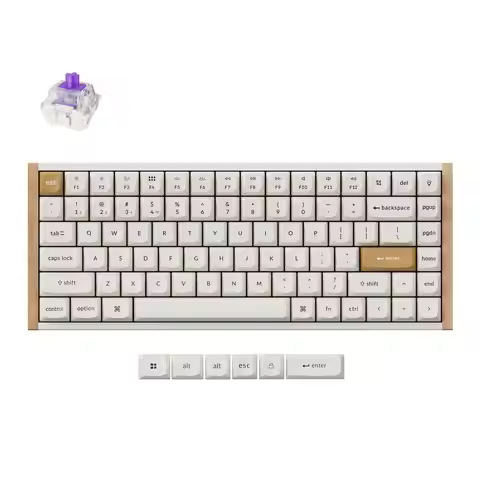 Keychron K2 HE Wireless Magnetic Switch Custom Keyboard Special Edition 75% Layout RGB Backlight Dou
