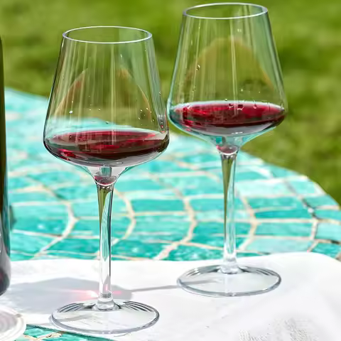 MICHLEY 2/4/6PCS Set Unbreakable Floating Plastic Wine Glass Goblet Transparent Tritan Plastic Wine 