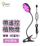Jig & Kit - LED植物燈丨室內生長燈丨全光譜30W蔬菜多肉補光燈丨種植可調光定時5檔 丨 15W（一頭） 紅藍（8111）