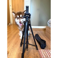 Camera Tripod, Tripod - True Aluminum Matte (With remote bluetooth control and cross bag)