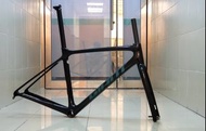 全新GIANT TCR ADV PRO碳纖維碟煞車架 CARBON DISC BRAKE FRAMESET
