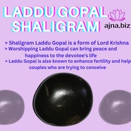 Natural Shaligram Laddu Gopal ( Gandaki River )