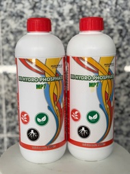 Phân bón Siêu lân đỏ 1 lít - MI-HYDRO-PHOSPHATE MP7 : siêu tạo mầm chuyên gia phân hóa mầm hoa
